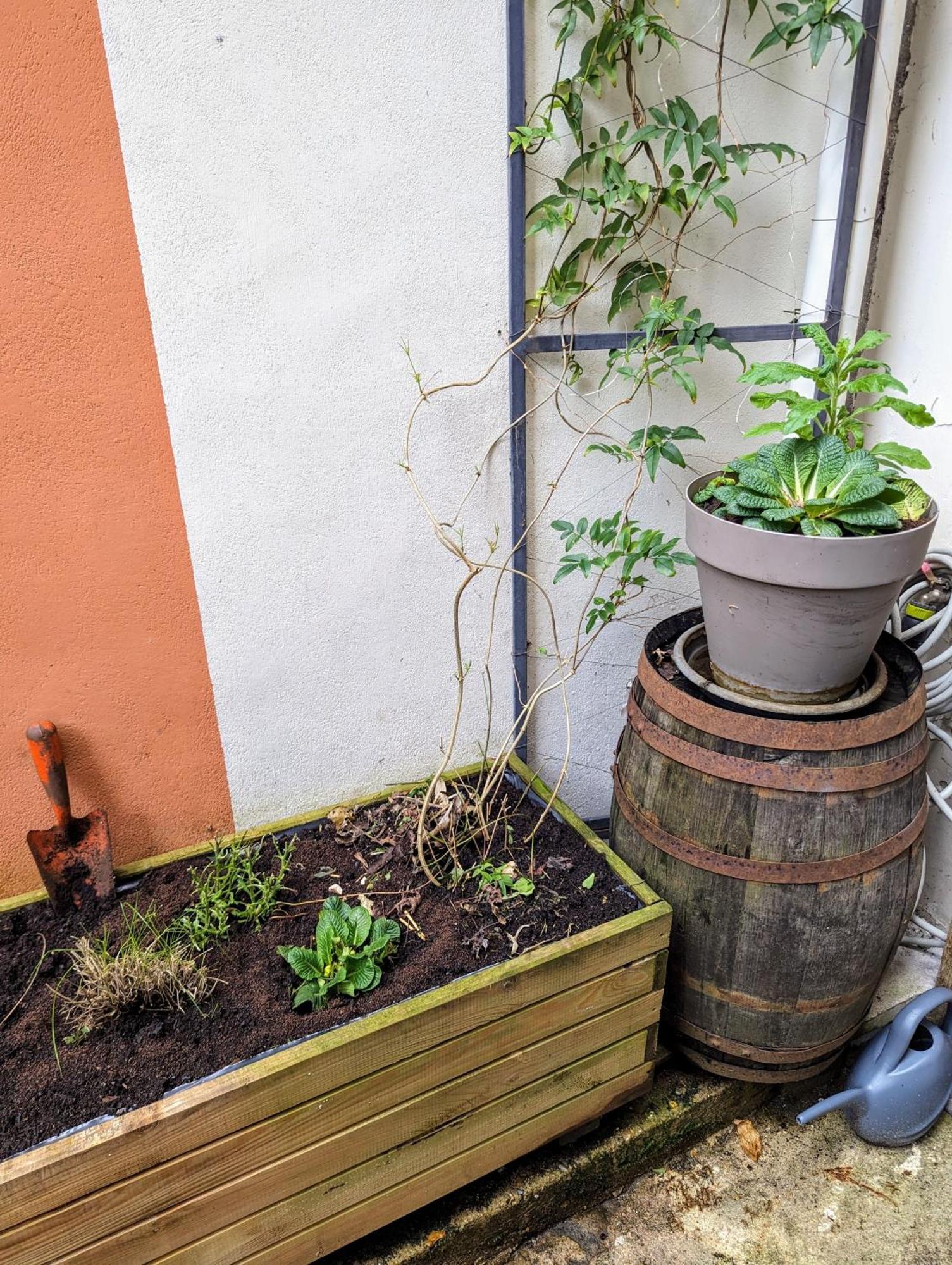 Artist Home - City Center - Bathtub - Terrasse - Full Appartment Rouen Buitenkant foto
